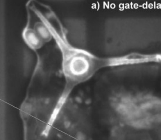 ISAC 2006 - High Intensity Solid State UV Source for TGL microscopy