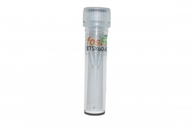 ETSX60 - A001